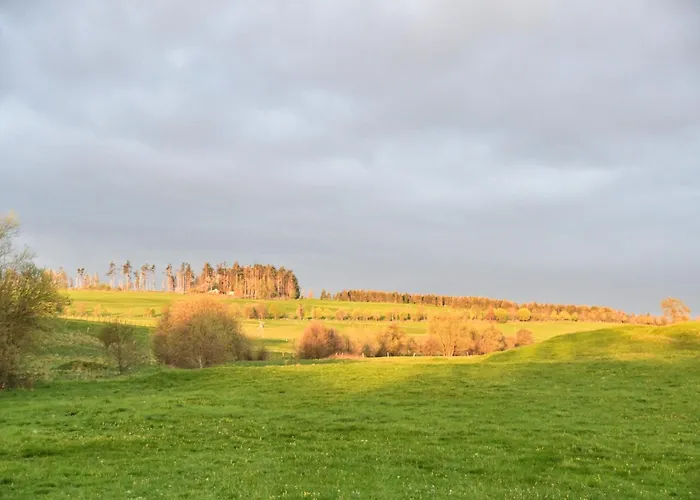Auerhahn Ferienhaeuser Auerhahn 515 Prázdninový dům Hasselfelde